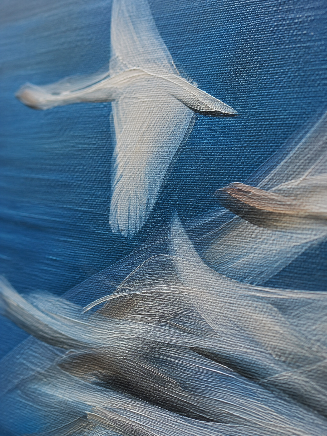 WINGS IN MOTION