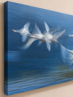 WINGS IN MOTION