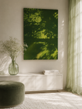 SHADOW & LIGHT