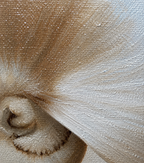 PEARL SHELL