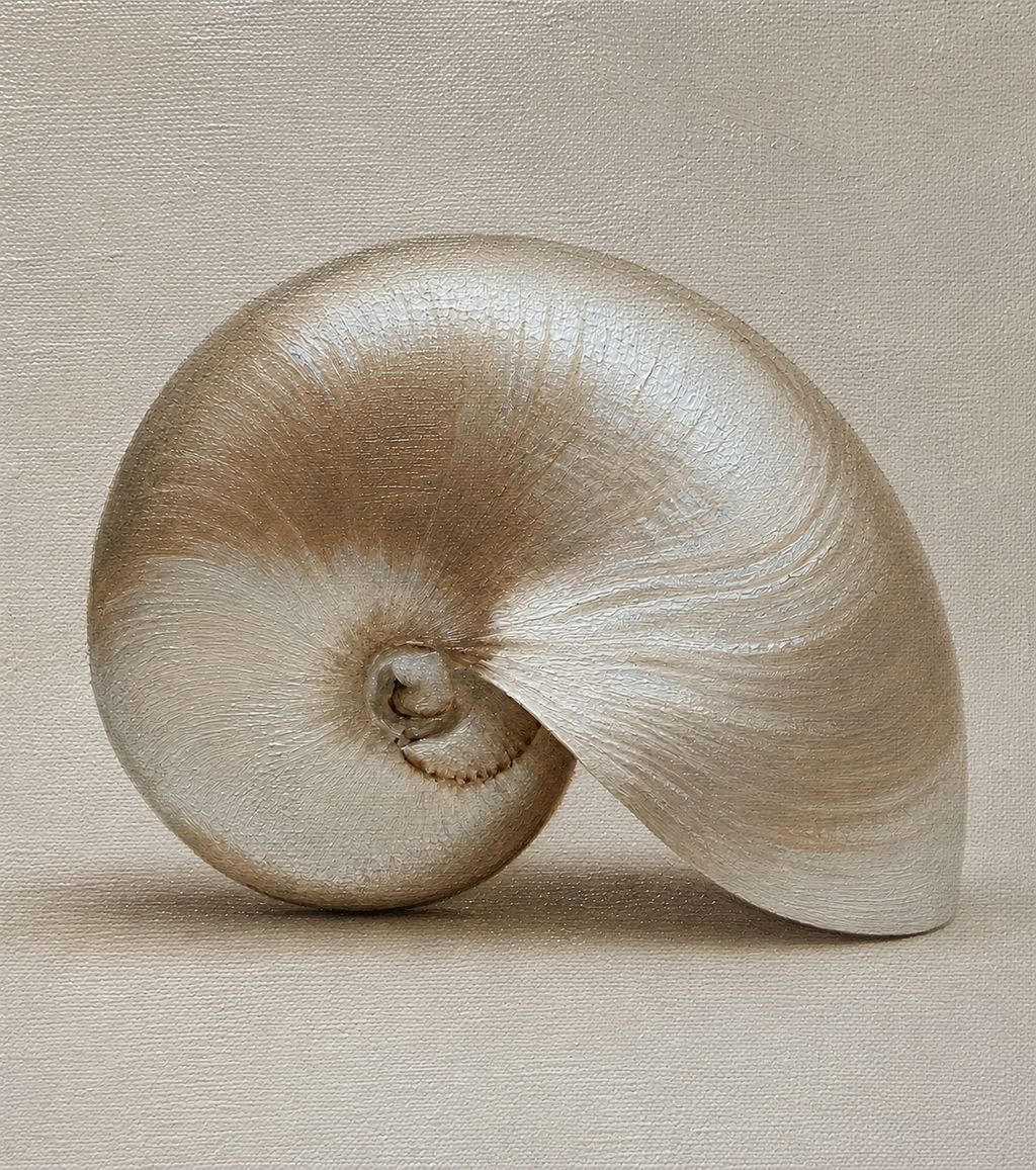 PEARL SHELL