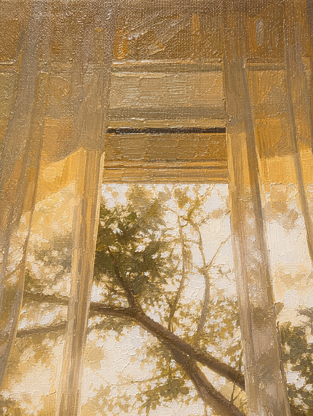 MORNING LIGHT
