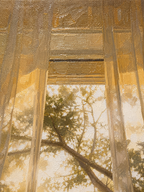 MORNING LIGHT