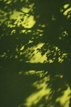 SHADOW & LIGHT