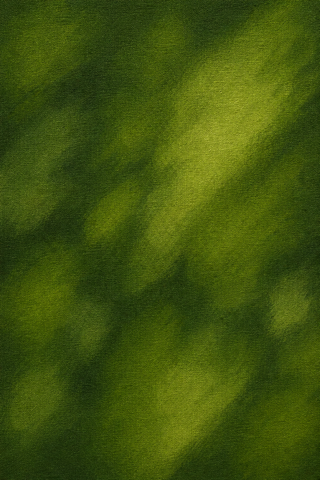 SHADOW & LIGHT