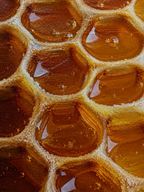 AMBER HONEY