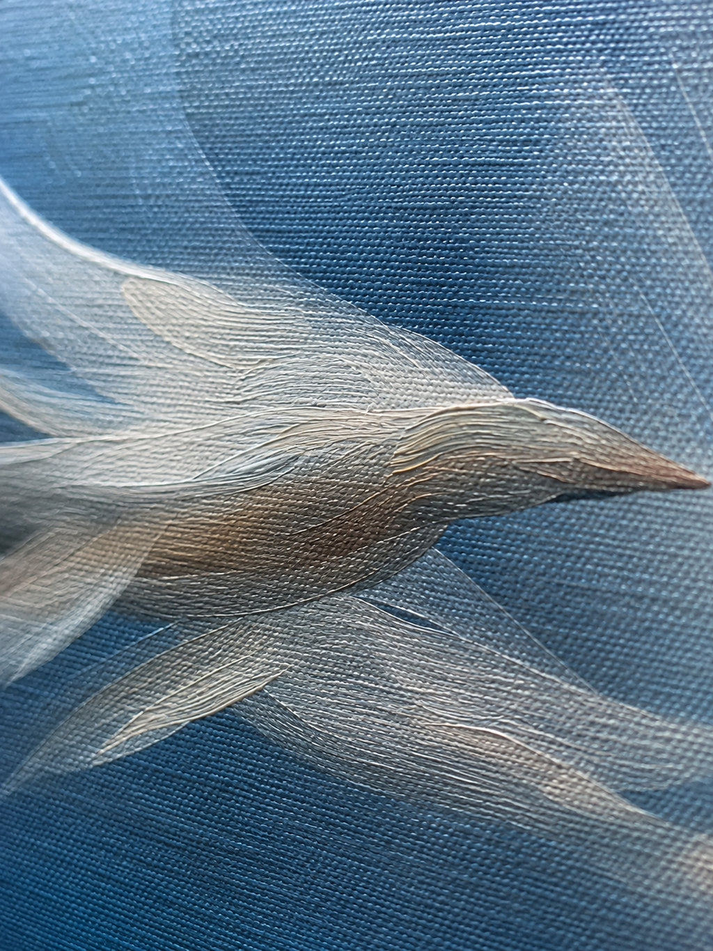 WINGS IN MOTION