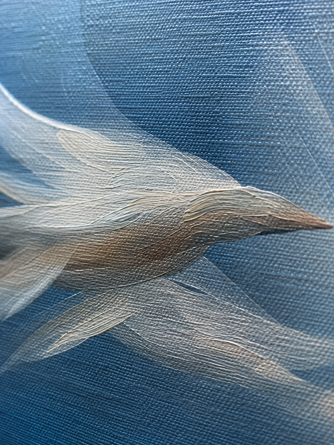 WINGS IN MOTION