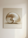 PEARL SHELL
